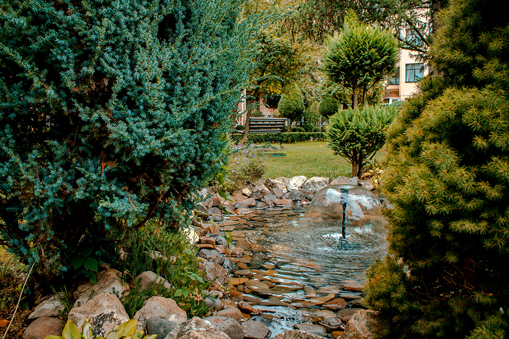 Територія біля басейну - Сонячна долина